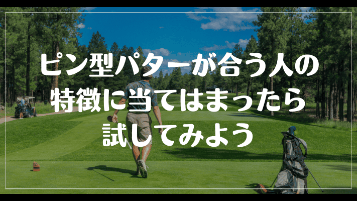 まとめ：ピン型パターが合う人の特徴に当てはまったら試してみよう